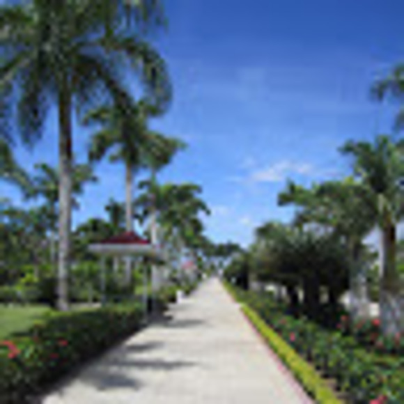 Meet your Posher, Caleb - Picture 1 of 1